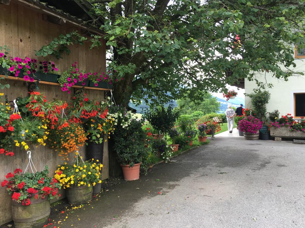 Apartment With Garden Garden Furniture Bbq Taxenbach Εξωτερικό φωτογραφία