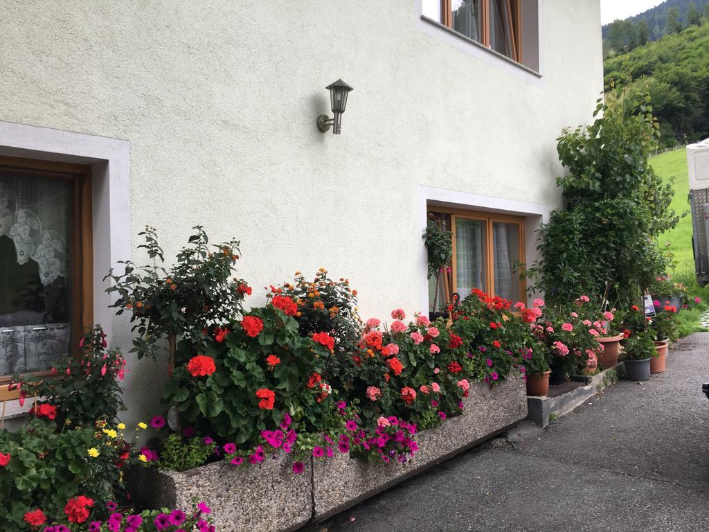 Apartment With Garden Garden Furniture Bbq Taxenbach Εξωτερικό φωτογραφία