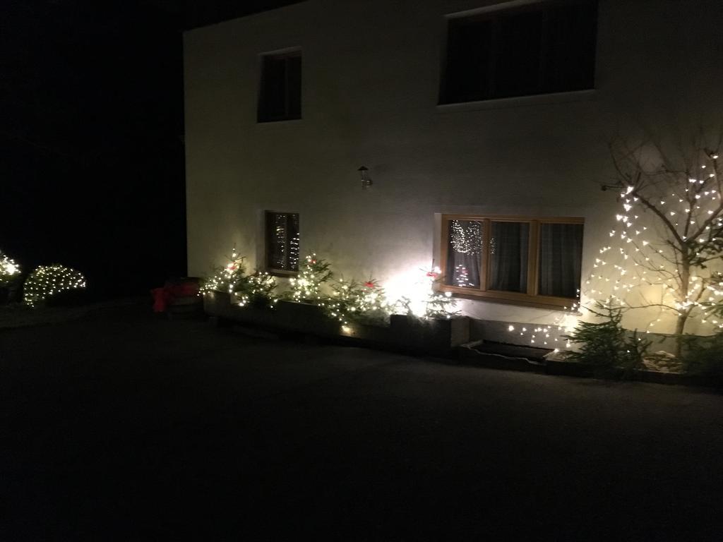 Apartment With Garden Garden Furniture Bbq Taxenbach Εξωτερικό φωτογραφία